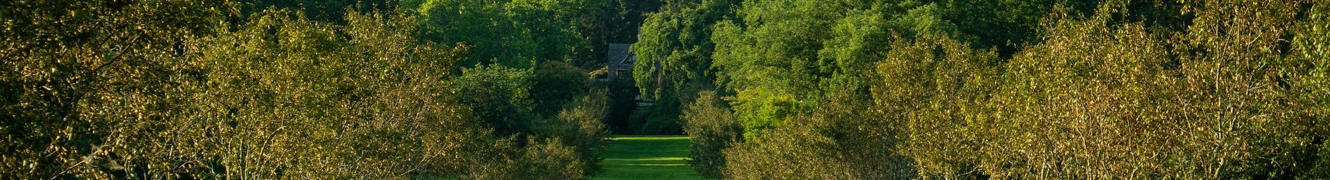 orchard-6525250_1920